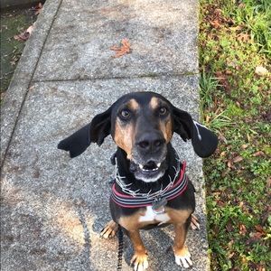 Meet your Posher, Kim